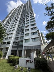 Blk 117A Tenteram Peak (Toa Payoh), HDB 4 Rooms #589705011